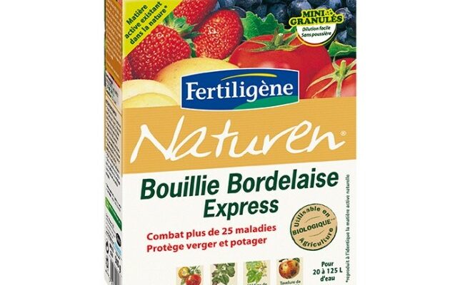 bouillie-bordelaise-express